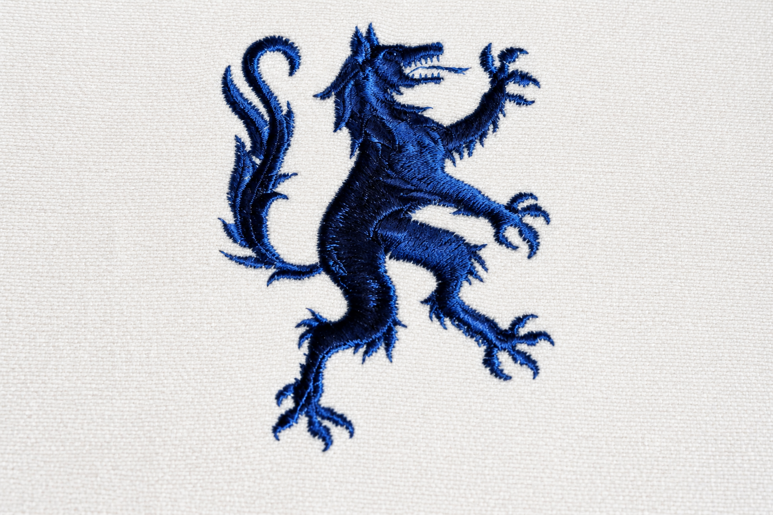 Close-up 30D embroidery sample